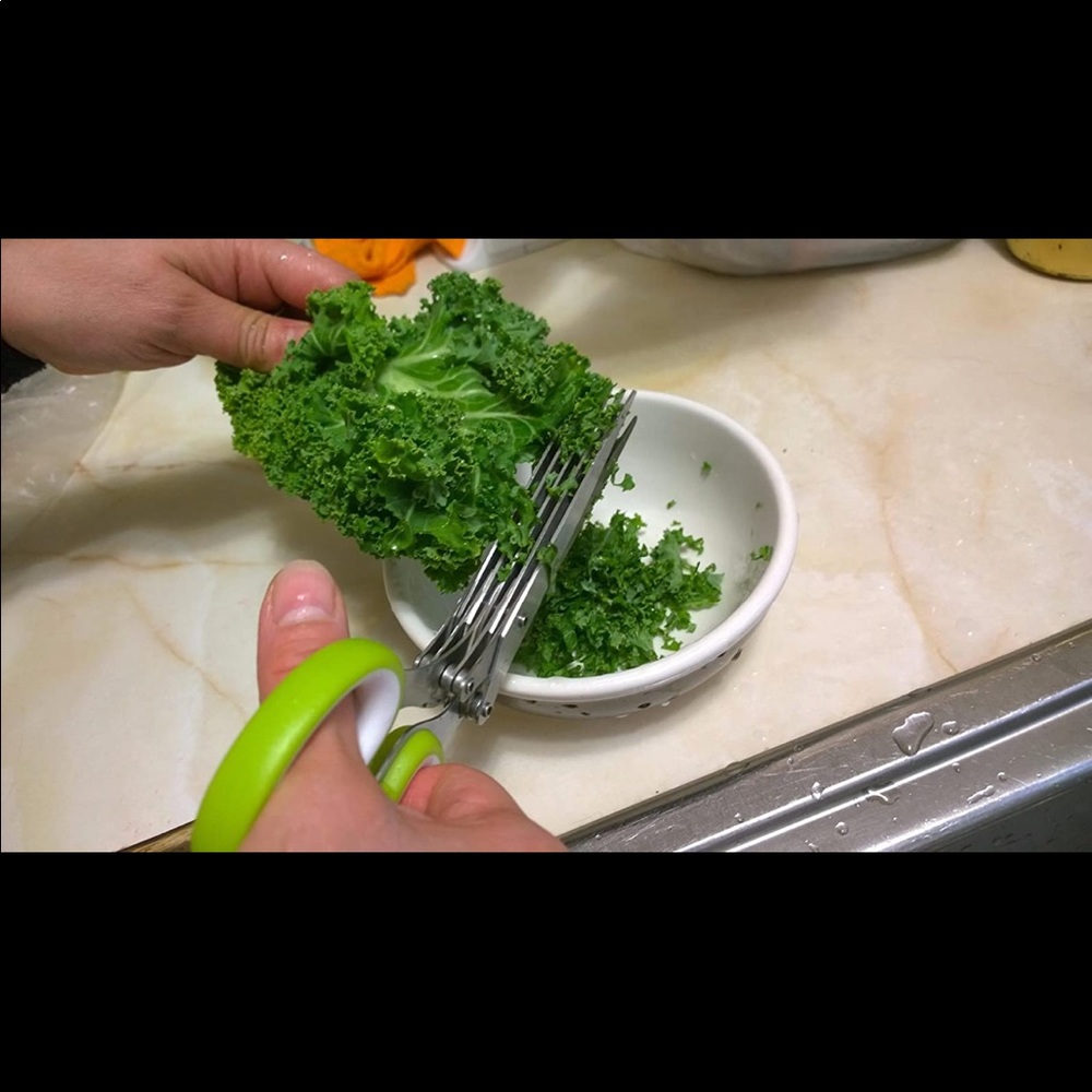 BRAND NEW HEAVY DUTY KITCHEN SHEARS / SCISSORS. NWT - Picture 2 of 3